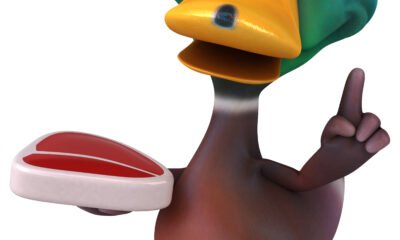 Duck GIF